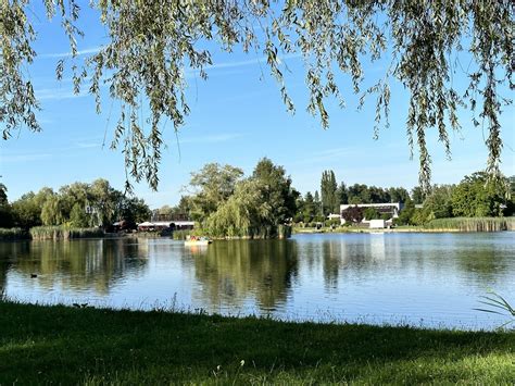 Parque do Jaçanã: Oszałamiająca Oaza Zieleni w Sercu Zaporogi!